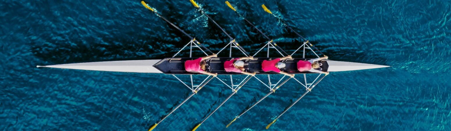Bird's eye view of a quad skull with the rower in pink